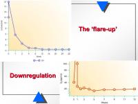 Abbildung 5: Flare up - Downregulation