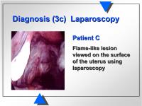 Abbildung 9: Diagnose - Laparoskopie