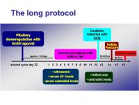 Abbildung 1: Long Protokoll
