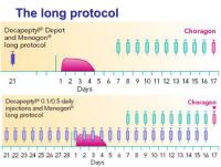Abbildung 2: Long Protokoll