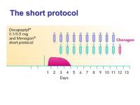 Abbildung 4: Short Protokoll