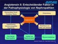 Abbildung 2: Angiotensin II - Nephropathie