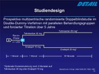 Abbildung 15: DETAIL-Studie - Studiendesign
