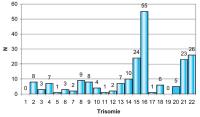 Abbildung 12: Trisomien - Häufigkeit