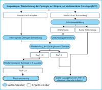 Abbildung 2: Befund - Management - PAP III