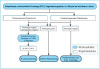 Abbildung 3: Befund - Management - PAP IIIG