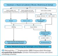 Abbildung 4: Befund - Management - PAP IIID