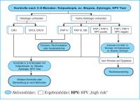 Abbildung 8: Befund - Management - CIN I-III