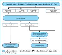 Abbildung 9: Befund - Management - CIN I-III