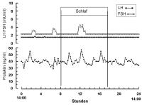 Abbildung 2: Amenorrhö - LH - FSH-