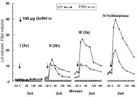 Abbildung 3: GnRH-Test - Follikel