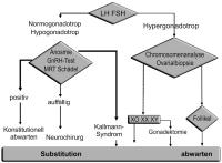 Abbildung 4: Pubertas tarda