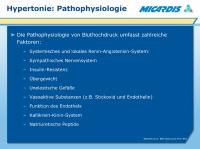 Abbildung 4: Hypertonie - Pathophysiologie