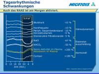 Abbildung 15: Tagesrhythmische Schwankungen