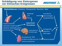 Abbildung 16: Hypertonie - Risikofaktoren - Klinische Ereignisse