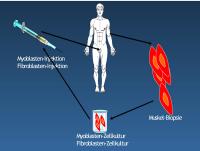 Abbildung 5: Harninkontinenz - Therapie