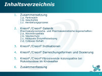 Abbildung 2: Inhaltsverzeichnis