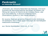 Abbildung 4: Pankreatin