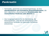 Abbildung 5: Pankreatin