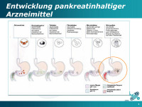 Abbildung 9: Entwicklung - Pankreatin