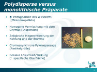 Abbildung 13: Polydisperse - Monolithische Präparate