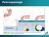 Abbildung 14: Pyloruspassage