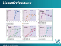 Abbildung 24: Lipasefreisetzung