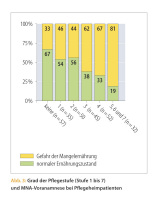 Abbildung 3: Pflegestufe