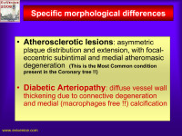Abbildung 8: Diabetes mellitus - Arteriopathie