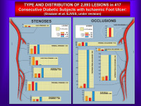 Abbildung 12: Diabetes mellitus - Ischämie