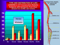 Abbildung 13: Läsion
