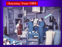 Abbildung 28: Tibialarterie