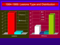 Abbildung 30: Läsion