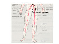 Abbildung 6: Beckenstrohmbahn