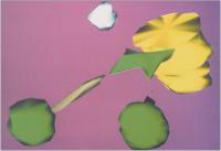 Abbildung 2: Linearbeschleuniger