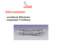 Abbildung 12: Stent
