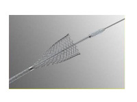 Abbildung 16: Stent