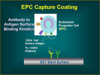 Abbildung 55: EPC Capture Coating