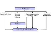 Abbildung 11: Insulinresistenz