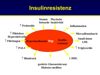 Abbildung 12: Insulinresistenz