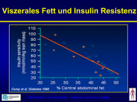Abbildung 14: Viszerales Fett - Insulinresistenz