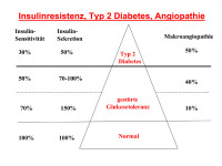 Abbildung 15: Insulinresistenz