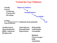 Abbildung 16: Diabetes mellitus Typ 2