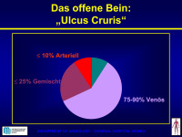 Abbildung 35: Ulcus cruris