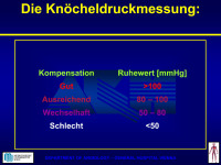 Abbildung 41: Doppler-Index