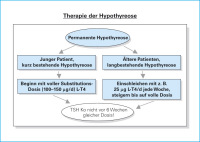 Abbildung 11: Hypothyreose - Therapie