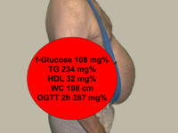 Abbildung 14: Adipositas - Fallbeispiel