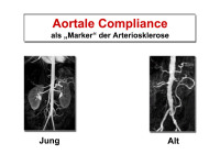 Abbildung 15: Aortale Compliance
