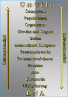 Abbildung 1: Genetik - Umwelt