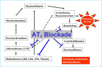 Abbildung 3: At1-Rezeptorblockade